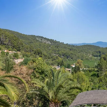 Especial El Pino Mallorca En *