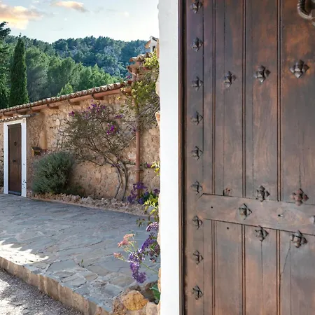Especial El Pino Mallorca En *