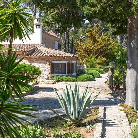 Especial El Pino Mallorca En Esporles