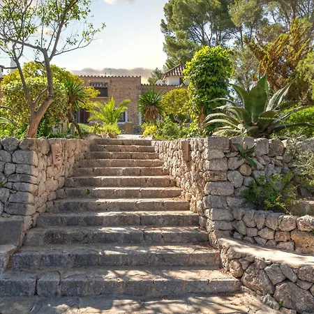 Especial El Pino Mallorca En *