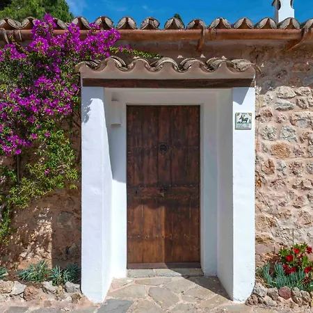 Especial El Pino Mallorca En * Esporles